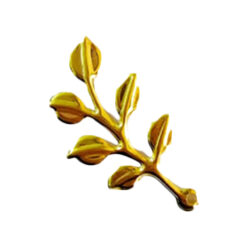 اكسسوارات جولد 1ق